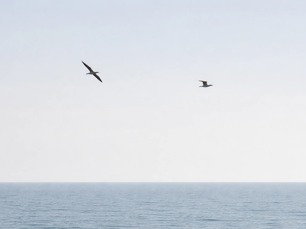 Two distant seabirds in open sky, one with long narrow wings and slender body, the other more compact with broader wings